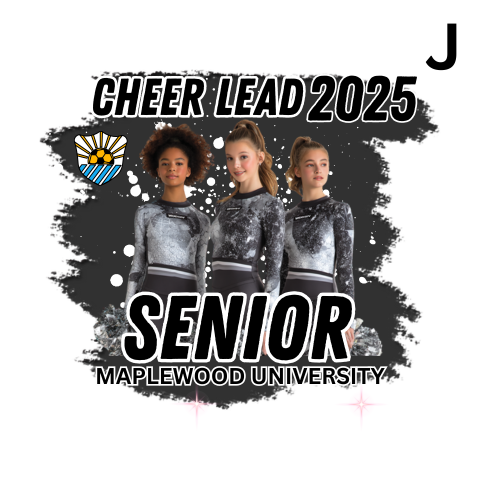 Custom Sports Plaque